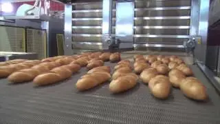 Semi-Automatic Dough Processing Line and Automatic Baking System