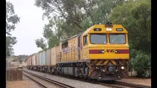 Q4019 is curving through Toodyay, with 7430 empty Sulphur containers from Malcom siding.