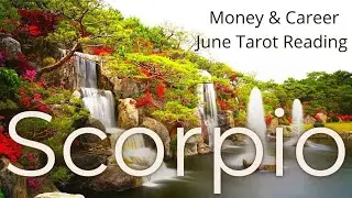 Scorpio, There's Wealth Here // June Money & Career Tarot Reading