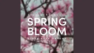 Steve Ryan Antony: Spring Bloom