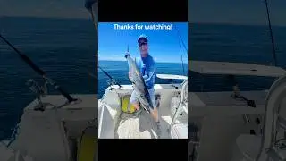 Reef&rsquo;s Edge Action! Catching a King Mackerel in the Florida Keys #fishing #floridakeys