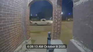 Hit-and-run driver strikes man, kills dog in Kansas City