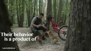Being Proactive with your Life