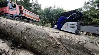 Working with the biggest chainsaw from FarmerTec - Holzfforma G888 (122cc/8.6HP)