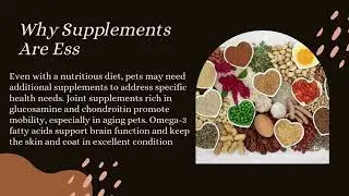 Best food, suppliments and Accessories for your PET !