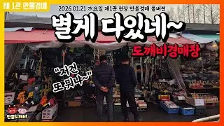 [🔴LIVE 생방송] 만물도깨비경매장 水요일 현장경매 실시간생중계 (2026.01.21)