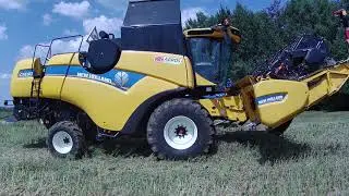 ŻNIWA 2021 / KOSZENIE RZEPAKU / GR HEROK / NEW HOLLAND CX 6.80 /NH T6030/ SCHMITZ / URSUS / DZIEŃ 2