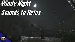 Hunt: Showdown - Windy Night Sounds to Relax