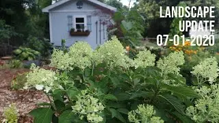 Weekly Landscape Update - Good Progress in the Summer Heat