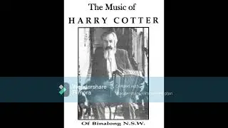 Harry Cotter Binalong