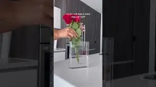 Obsessed with this Glass Magazine Flower Vase