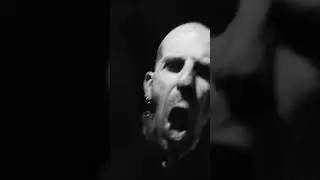 @pod are back! Their new single DROP featuring #RandyBlythe, is out now!