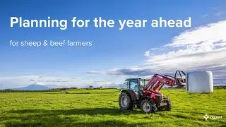 Planning for the year ahead: Sheep & beef farmers