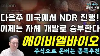 [에이비엘바이오] 다음주 미국에서 NDR 진행! 이제는 자체 개발로 승부한다! #에이비엘바이오 #에이비엘바이오대응  일라이릴리 GSK 사노피 기술이전