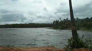 🐟🐬🐟🐬