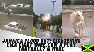 Jamaica Flood Out! Lightening lick light Wire,Cow a play Football? & More Reaction Video Vlog #310