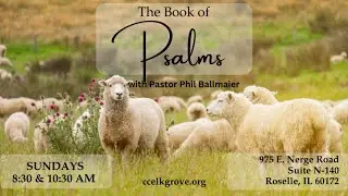 Sundays Live | 17. Psalm 11:3 If The Foundations Are Destroyed-Part 5 (9-14-25)