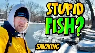 WARM WATER DISCHARGE PIPE FISHING! #fishing #riverfishing #bassfishing 