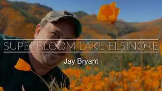 The SuperBloom 2019