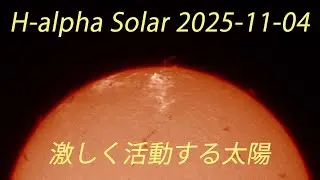 H-alpha Solar 太陽　2025/11/4　 ACUTER PHOENIX 40　GH5S