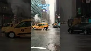 #springtime #rainyday #nyc #staydry #shopping #walkingtour #wholefoods #citylife #mondaymotivation #