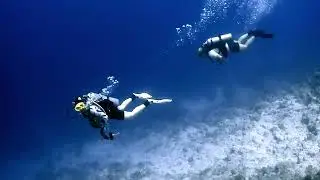 2025 Egypt (diving)