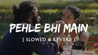 Pehle Bhi Main | Slowed + Reverb | Hindi Songs Slowed Reverb