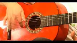 Flamenco 3   picados