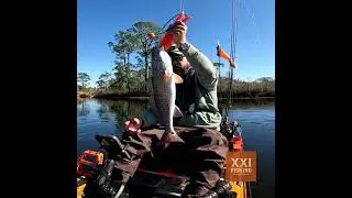 Cold Water Redfish in Blackwater River  #fishing #kayakfishing #redfish #saltwaterfishing