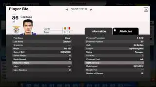 Fifa 12 OFFICIAL TOTY BLUE CARD TEAM