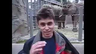 The First Video on Youtube