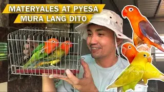 PYESA AT MATERYALES SA RED FACTOR YELLOWFACE AT AQUA MERON DITO 💯