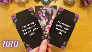THIS PERSON WANTS TO MAKE YOU THEIRS FOREVER ! THEY WANT TO MARRY YOU! 🥂 (Collective Tarot Reading)
