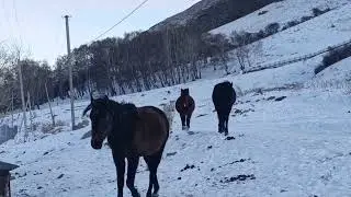 Идут ровно в строй.