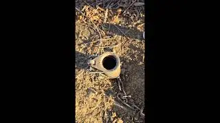 Does a golf ball keep mice out of a dog proof?