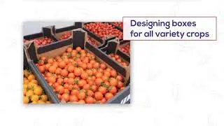 Packaging Solutions For E commerce - Multipack Industries