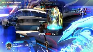 Reinhardt bug