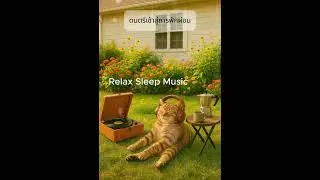 Relaxing Sleep Music ดนตรีผ่อนคลายจิตใจ หลับง่ายขึ้น- Relax365 Channel