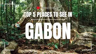 Top 5 MUST SEE Attractions in Gabon Hidden Gems of Africa You Can't Miss!