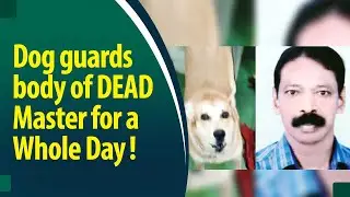 Pet dog &lsquo;Unni&rsquo; guards body of his dead owner and retired ASI Soman for a whole day!