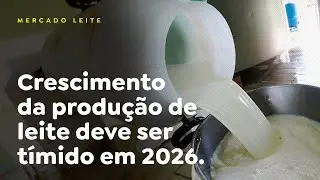 Crescimento da produ&ccedil;&atilde;o de leite deve ser t&iacute;mido em 2026