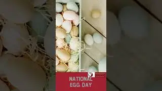 National Egg Day