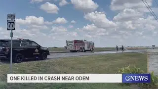 One killed in crash near Odem