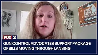 Gun control advocates support package of bills moving through Lansing