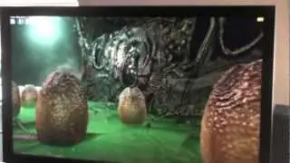 GTX 690 QUAD SLI :: Alien versus Predator Benchmark + Gameplay 2560x1440p