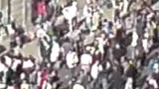 G20 Protests London - Riot, What Riot?