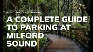 A Complete Milford Sound Parking Guide (watch before you go!)