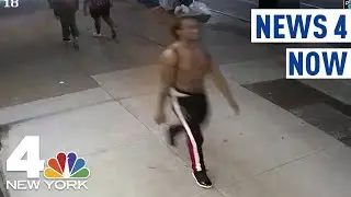 NYPD Hate Crimes Unit Investigating Random Attacks on White People | News 4 Now