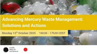 Advancing Mercury Waste Management: Solutions and Actions