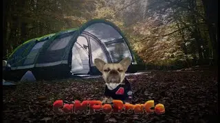 Scappo nel bosco (pt 1) vi presento la mia tenda da campeggio